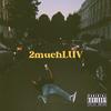 2muchLUV (Explicit) - Yous