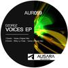 Voices (Original Mix) - Dzordz