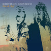 Can't Let Go - Robert Plant&Alison Krauss