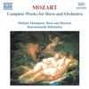 III. Allegro - Michael Thompson&Bournemouth Sinfonietta