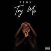 Try Me (Explicit) - Tems