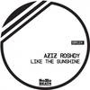You Will Never Find Another Love Like Mine (Original Mix) - Aziz Roshdy&Nermine Wally