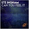 Can You Feel It (Kritikal Mass Remix) - Ste Ingham