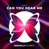 Can You Hear Me (Extended) - Doozie