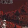Freezing - Numskull