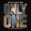 The Only One(feat. Brandon Wattz) - Sinnister&Brandon Wattz