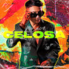 Celosa - K-Laco