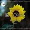 Jingo (Original Mix) - Nari&Steve Tosi