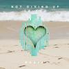 Not Giving Up on You - NAAJA