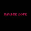 Savage Love - Jason Smith&Devon Derulo