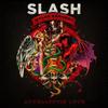 We Will Roam - Slash