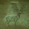 Hidden Subtleties (Original Mix) - RFTT
