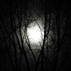 Out of the Darkness (feat. Esme Goldfinger) - Maffa&Esme Goldfinger