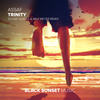 Trinity (Sound Quelle & Max Meyer Remix) - Assaf