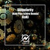 Singularity (Ken Plus Ichiro Remix Radio Edit) - KaKi