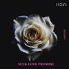 Seek Love Promise (Explicit) - Shiv&Abhithi