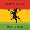 Reblow Your Mind - Gov't Mule