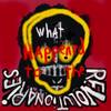 What Happened To The Revolutionaries - Joseph Arthur