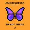 I'm not There - Asher Swissa&JIGI