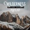 Silent woods - Nature Sounds Relaxation: Music for Sleep&Meditation&Massage Therapy&Spa