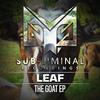 Run The Riddim - Too Greezey&Leaf