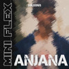 Anjana - Mini Flex