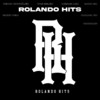 Rolando Hits (Explicit) - Rolando Hits&Remik Gonzalez&Vandalic&Kallpa RH&Dank Sa&The Seler&Weros LCK&Saiko Hem