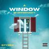 Never Been (Explicit) - D.TYNER