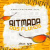 Ritmada dos Fluxos (Explicit) - Dj Vm&MC GW&MC Zeus&MC Mingau&MC SARARA