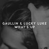 What's Up - Gaullin&Lucky Luke&Linas Gaudutis&Daumantas Vinkevicius&Lukas Kemesis