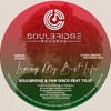 Living My Best Life (Original Mix) - Soulbridge&FAM Disco&Tojo