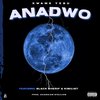 ANADWO (Explicit) - Kwame Yesu&Black Sheriff&Kimilist