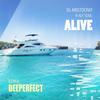 Alive (Deeperfect Remix) - DJ Aristocrat&Aly Soul