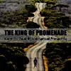 Intelligence Et Souplesse (Original Mix) - The King Of Promenade