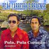 Amargo Delirio - Peão Carreiro&Praense