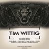 Darkness (Chris Blair Remix) - Tim Wittig&Chris Blair