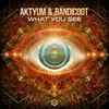 What You See - Aktyum & Bandicoot (ARG)&Aktyum&Bandicoot (ARG)