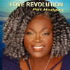 Love Revolution - Pat Hodges