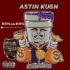 AUDABON ZOO (feat. JASIN KASH) (Explicit) - Astin Kush&Jasin Kash