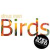 Birds (Original Mix) - Sinus Man