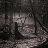 nightwalker - Mayten&Eric dupont