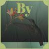Carry Below - Amilton Arti&Arlon