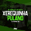 Xerequinha pulano (Explicit) - mc caio cb&DJ RAFINHA DN