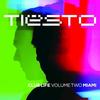 What Can We Do(A Deeper Love) (Third Party Remix) - Tiësto