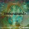 Timbaraleando (Capo & Comes Remix) - R. Salas