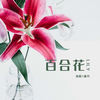 百合花 - 曲丹