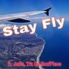 Stay Fly (feat. Judis & Tra Da MoufPiece) - Boom Music&JUDIS&Tra Da MoufPiece