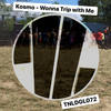 Wonna Trip with Me - Kosmo&Niko Palombi