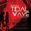 Tidal Wave - DJ Shimza&Kimosabi