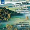 III. Adagio non troppo (alla romanza) - Czech National Symphony Orchestra&Marek Štilec